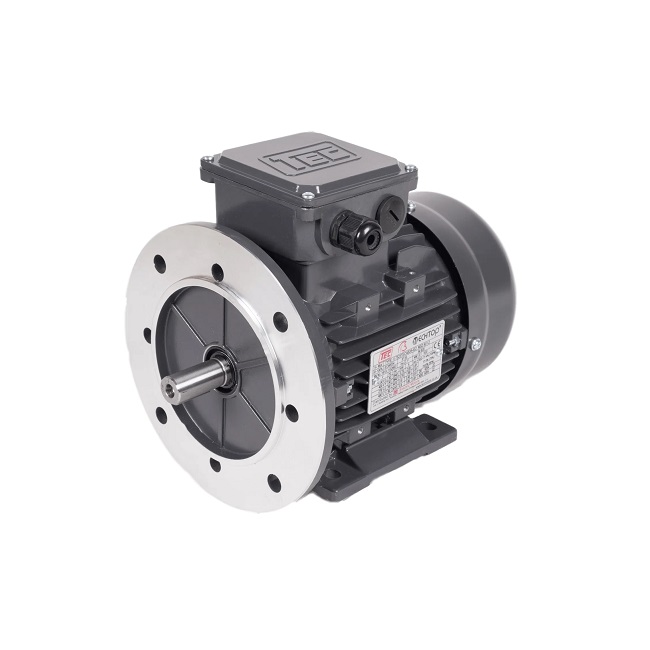 TEC Electric Motor Three Phase 3PH0.12KW2PB35T2 0.12KW 3000rpm Foot & Flange Mounted IE2